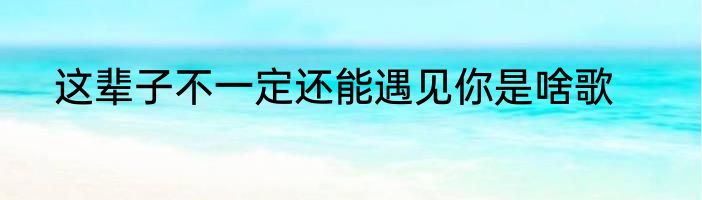 这辈子不一定还能遇见你是啥歌