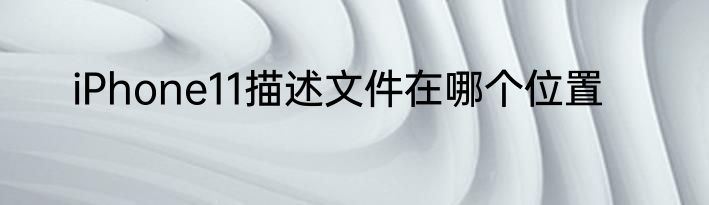 iPhone11描述文件在哪个位置