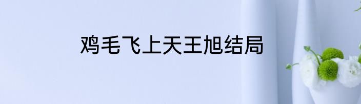 鸡毛飞上天王旭结局