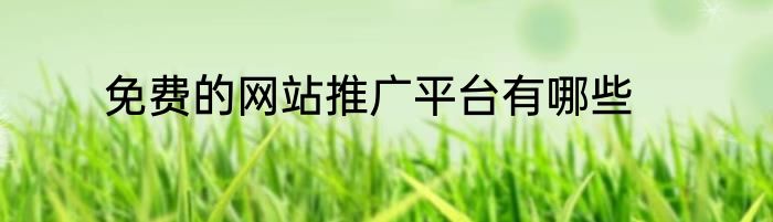 免费的网站推广平台有哪些