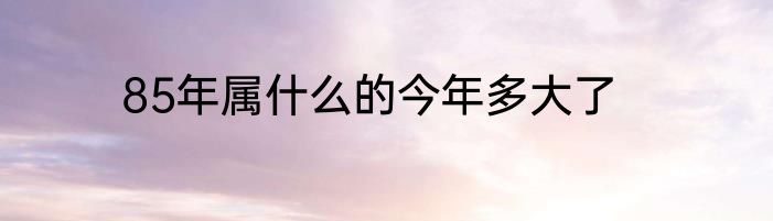 85年属什么的今年多大了