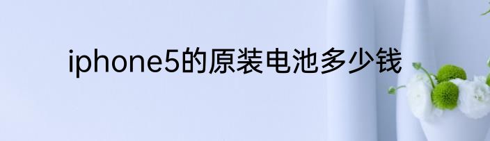 iphone5的原装电池多少钱