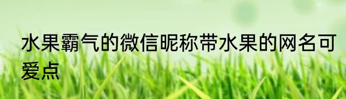 水果霸气的微信昵称带水果的网名可爱点