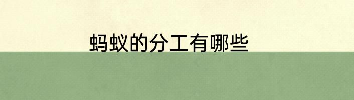 蚂蚁的分工有哪些