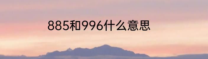 885和996什么意思