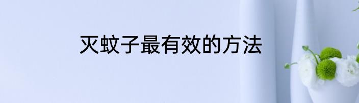 灭蚊子最有效的方法