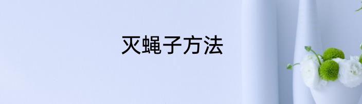 灭蝇子方法