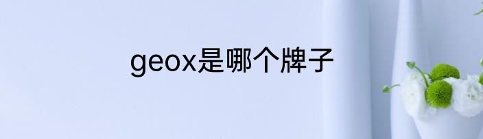 geox是哪个牌子