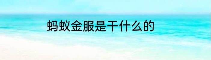 蚂蚁金服是干什么的