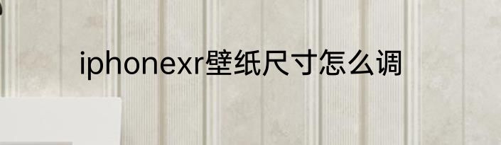 iphonexr壁纸尺寸怎么调