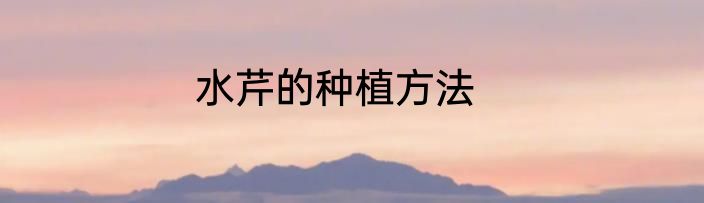 水芹的种植方法