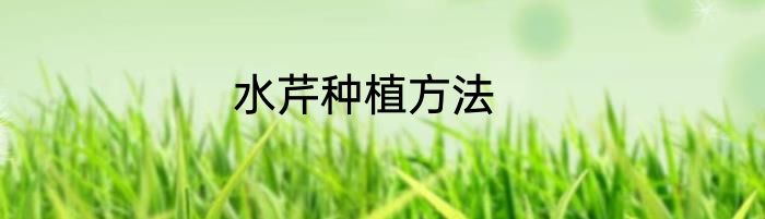 水芹种植方法