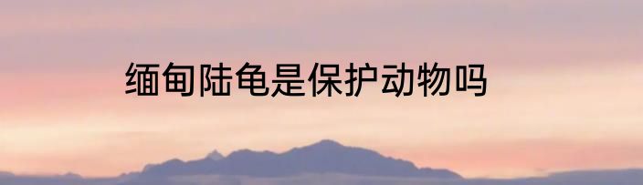缅甸陆龟是保护动物吗
