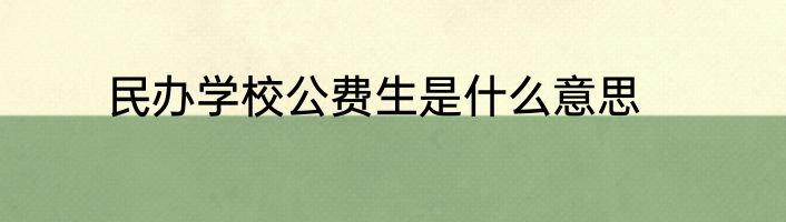 民办学校公费生是什么意思