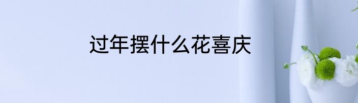 过年摆什么花喜庆