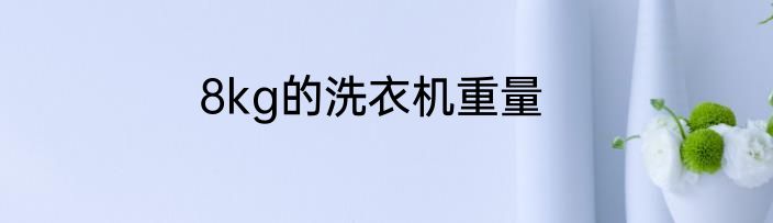 8kg的洗衣机重量