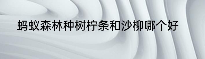 蚂蚁森林种树柠条和沙柳哪个好