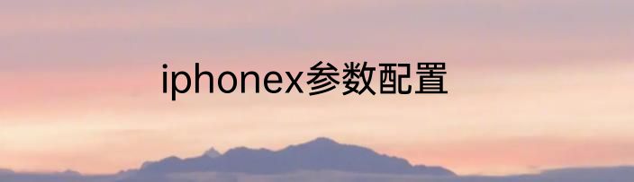 iphonex参数配置