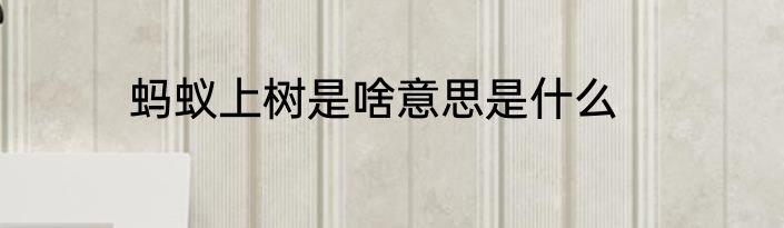 蚂蚁上树是啥意思是什么