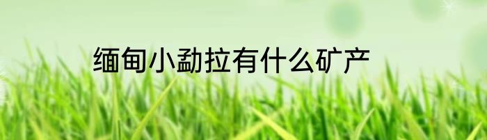 缅甸小勐拉有什么矿产