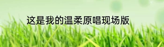 这是我的温柔原唱现场版