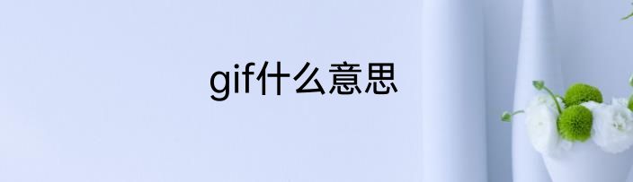 gif什么意思