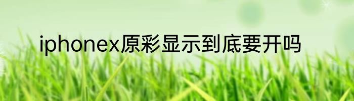 iphonex原彩显示到底要开吗