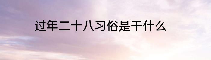 过年二十八习俗是干什么