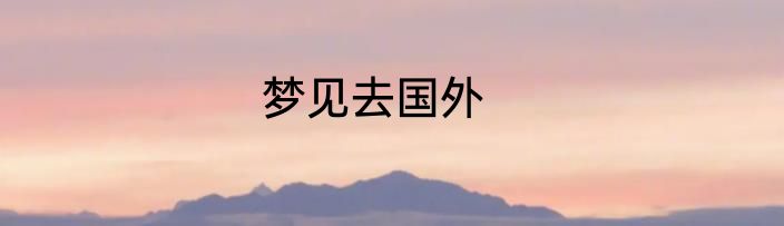 梦见去国外