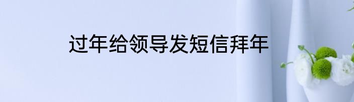 过年给领导发短信拜年