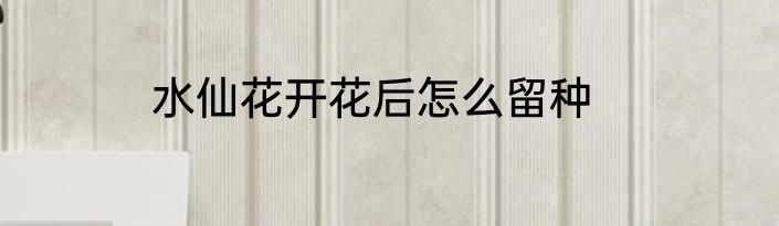 水仙花开花后怎么留种