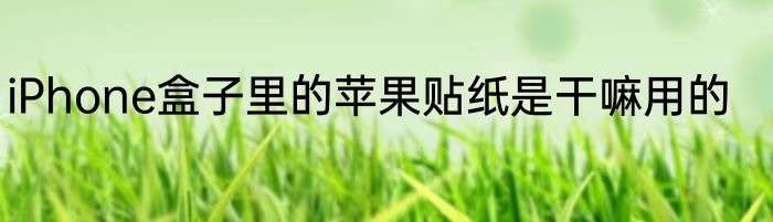 iPhone盒子里的苹果贴纸是干嘛用的