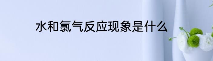 水和氯气反应现象是什么