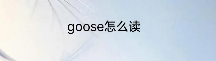 goose怎么读