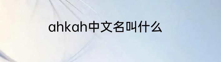 ahkah中文名叫什么