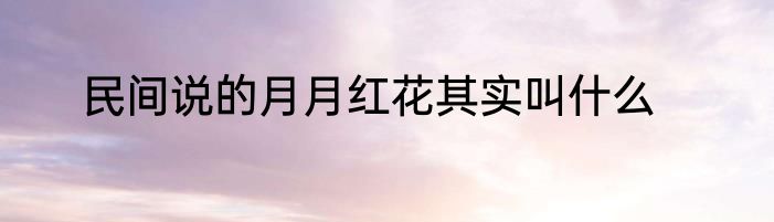 民间说的月月红花其实叫什么