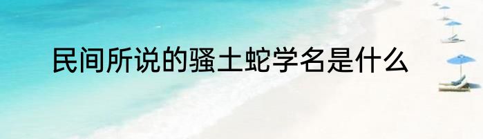 民间所说的骚土蛇学名是什么