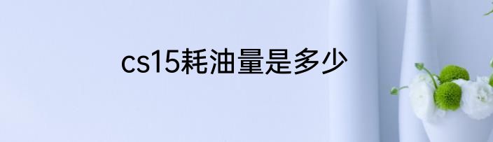 cs15耗油量是多少