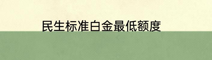 民生标准白金最低额度