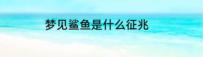 梦见鲨鱼是什么征兆