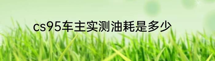 cs95车主实测油耗是多少