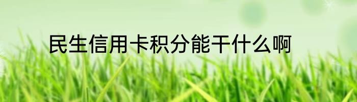 民生信用卡积分能干什么啊