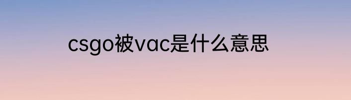 csgo被vac是什么意思
