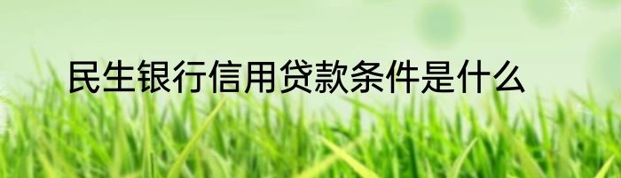 民生银行信用贷款条件是什么