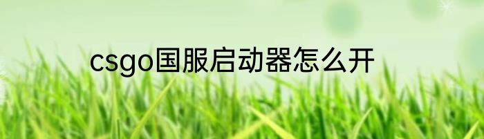 csgo国服启动器怎么开