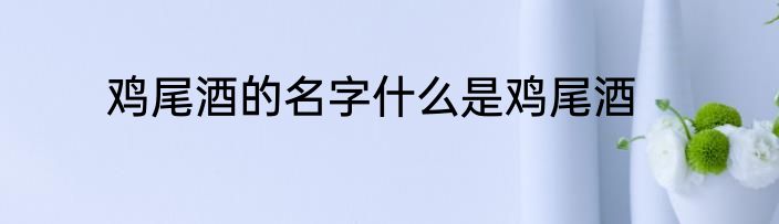鸡尾酒的名字什么是鸡尾酒