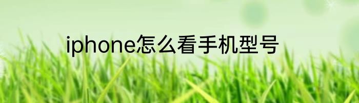 iphone怎么看手机型号
