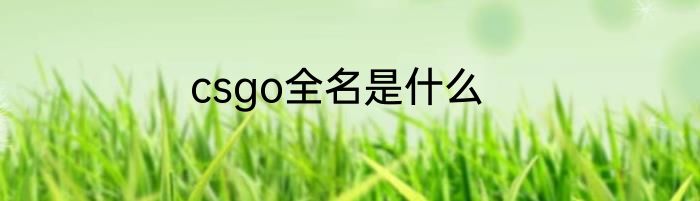 csgo全名是什么