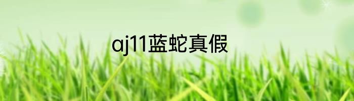 aj11蓝蛇真假