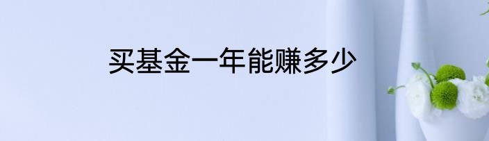 买基金一年能赚多少